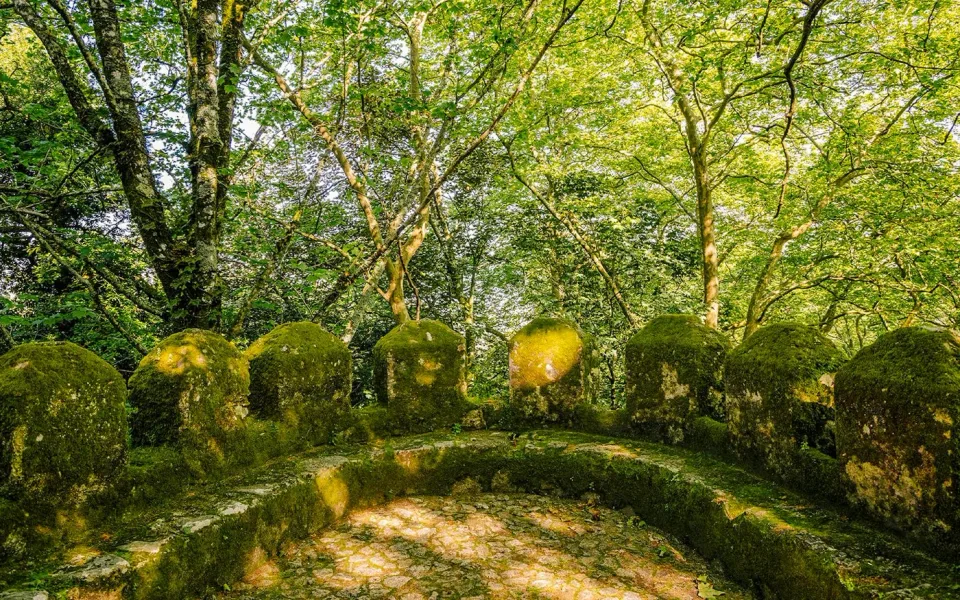 Ein schattiger Waldweg nahe der Burg