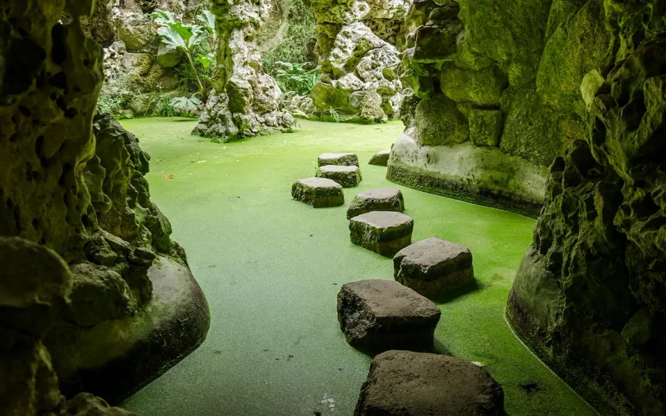 Piedras de paso que cruzan una piscina de jardín protegida